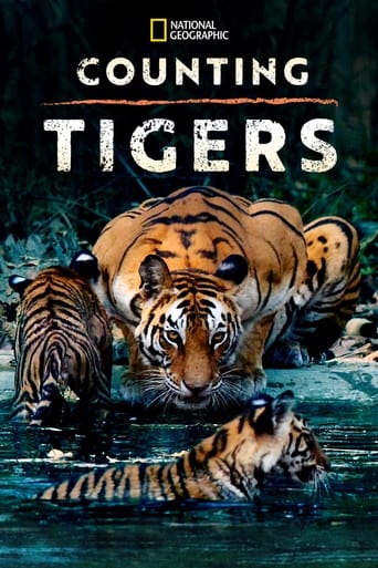 Counting Tigers en streaming 