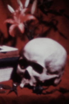 The Absence Of Filmmaker poster