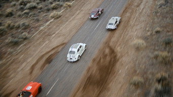 #33 The Love Bug