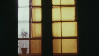 Through the Ruins (1982)