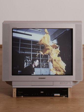 Tetsuo, condenado al fracaso poster