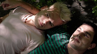 Tumbledown media image