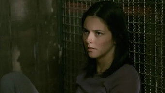 Episode 44 — Episode 44