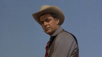 #8 The Gun Hawk