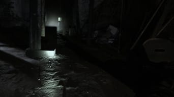 Galeria 3 - Anomalous