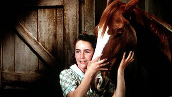 National Velvet (1944)