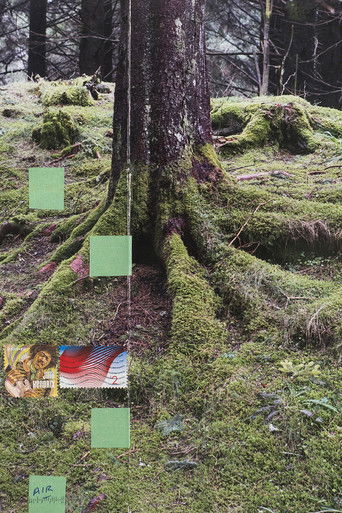 Hemlock Forest poster 1