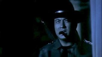 Alyas Pogi: Ang pagbabalik (1999)