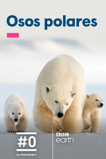 Poster of Osos polares