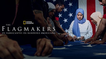 Cena 6 de The Flagmakers