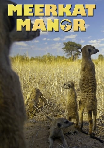 Poster of Meerkat Manor