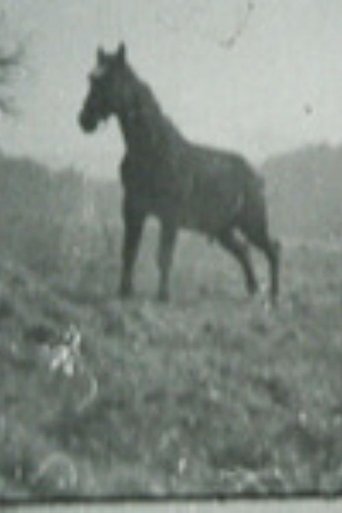 Golan