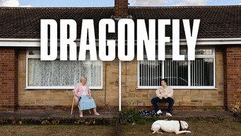 #8 Dragonfly