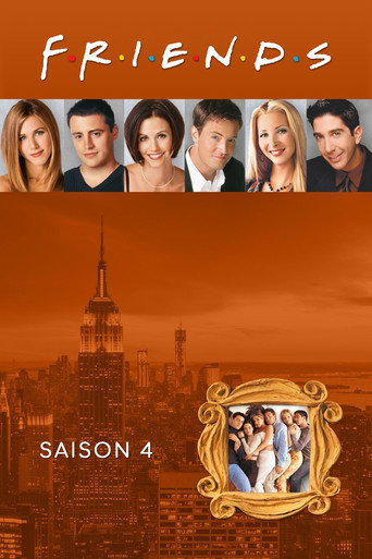 Friends - S4 - Épisode 2 : Celui qui ne voyait qu'un chat - Affiche