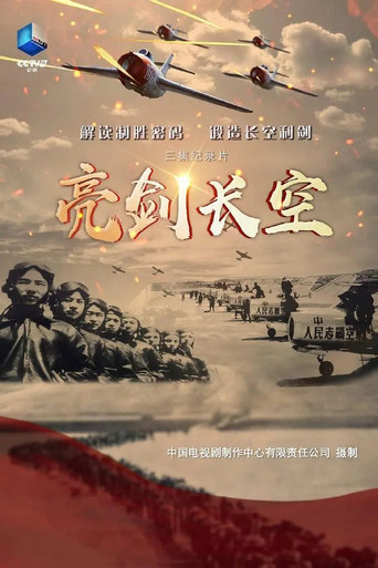 亮剑长空 poster