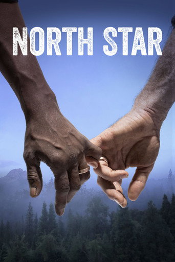 North Star poster