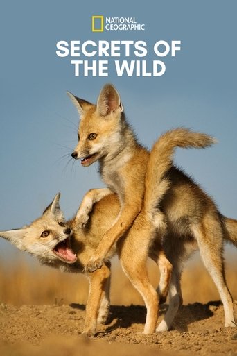 poster of Secrets of the Wild
