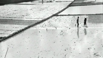 #6 When the Tenth Month Comes