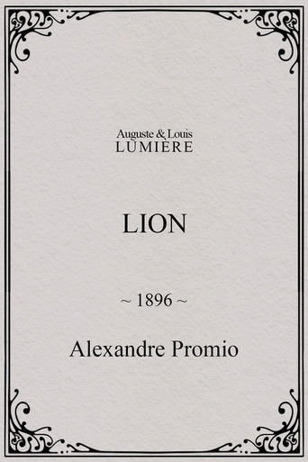 Lion, London Zoological Gardens