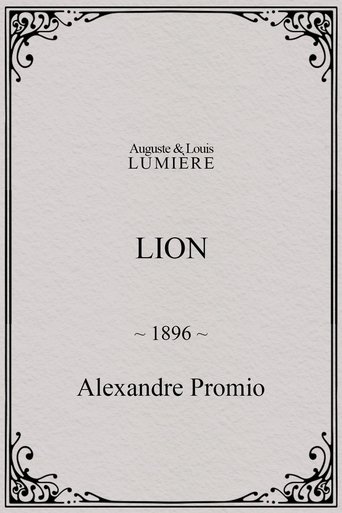 Lion, London Zoological Gardens