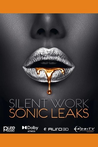 Silent Work – Sonic Leaks poster