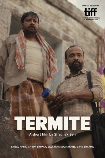 Termite