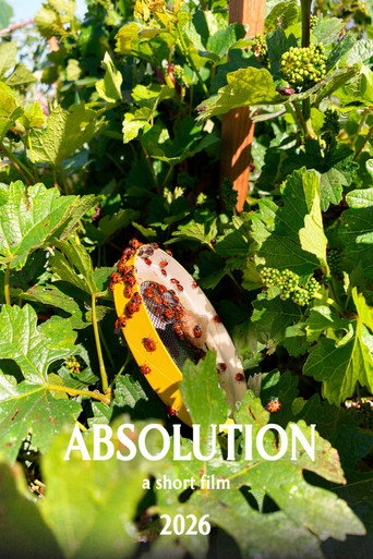 Absolution