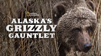 #3 Alaska's Grizzly Gauntlet