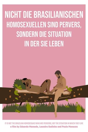 Nicht die brasilianischen Homosexuellen sind pervers, sondern die Situation in der sie leben