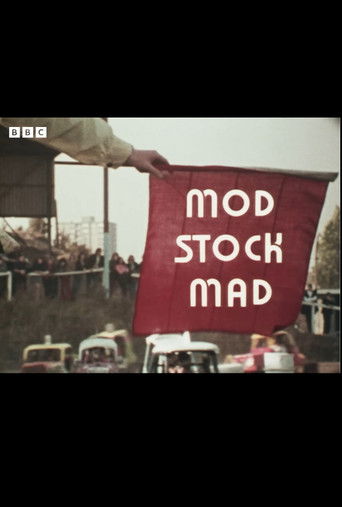 The Fanatics: Mod Stock Mad