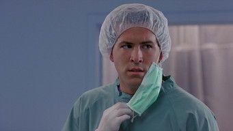 Galeria 3 - Dos colgaos muy fumaos