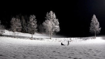 Through a Glass, Darkly (2008)