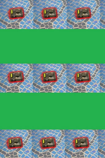 Neighbor at Home poster