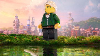 The Lego Ninjago Movie backdrop 7
