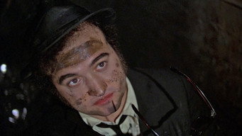 The Blues Brothers backdrop 5