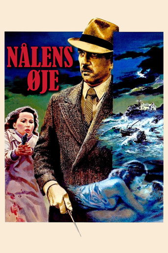 Nålens øje