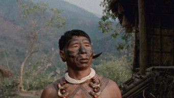 Angh (2026)