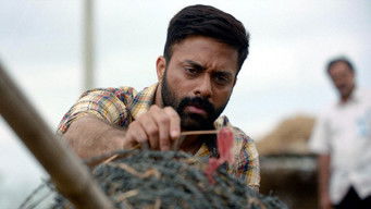 Episode 3 — Coverage