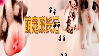 萌宠成长记（精编版） - S3E01