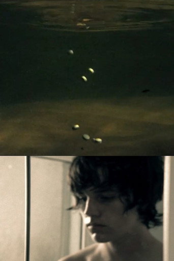 Postmortem Bliss (2006)