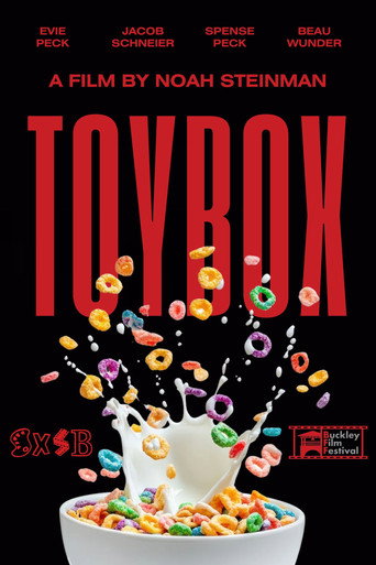 Toybox poster