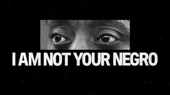 I Am Not Your Negro backdrop 10