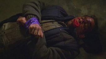 第15話：Vigilante