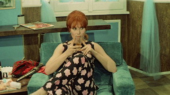 Guess Who's Coming for Breakfast (1968)