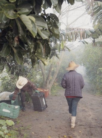 Mãos à Terra