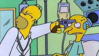 ¿Quién disparó al Sr. Burns? (segunda parte) ¿Quién disparó al Sr. Burns? (segunda parte)
