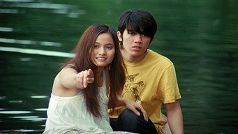 Heart media image
