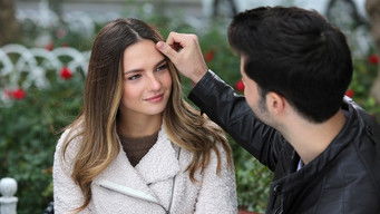 Episode 2 — Episode 2