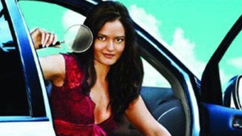 Inspector Mom: Kidnapped in Ten Easy Steps (2007)