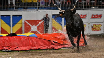 #2 Intervilles
